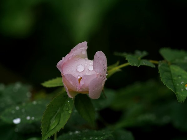 Ma crédence déco : décorez sa cuisine comme un pro