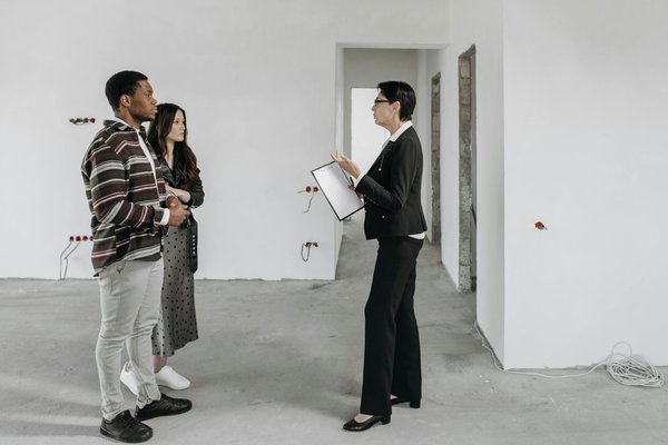 Solutions écologiques et économiques: panneaux solaires à fougères