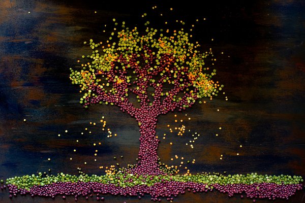 Comment créer un mur végétal auto-irrigué dans une cuisine ouverte?